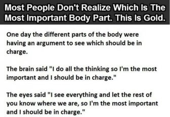 Most People Don't Know Which Is The Most Important Body Part