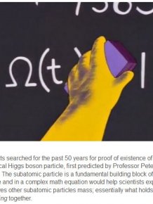 Did Homer Simpson Discover The Higgs Boson?