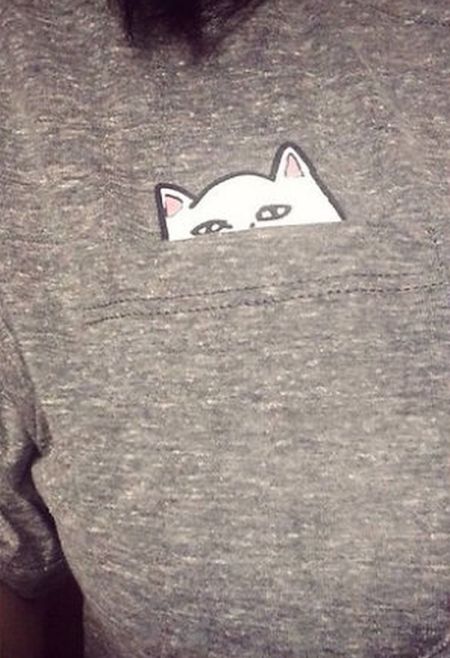 This Shirt Has A Cat In The Pocket And A Special Surprise