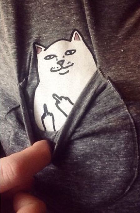 This Shirt Has A Cat In The Pocket And A Special Surprise