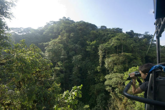 Sky Bike Gives You An Incredible Tour Of The Andean Cloud Forest