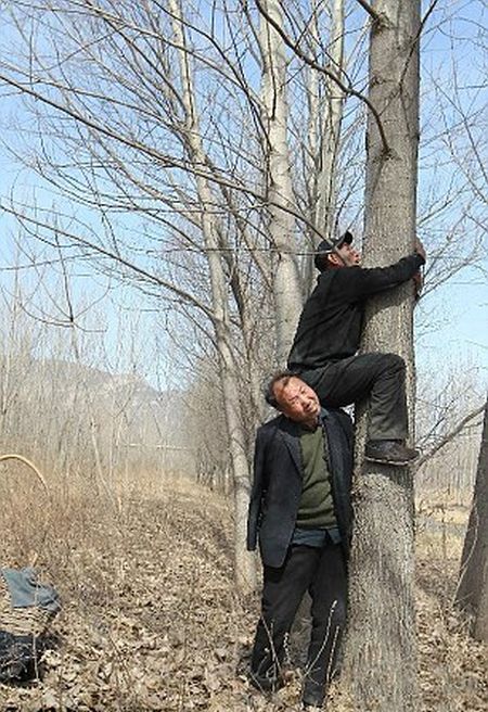 This Blind Man And His Friend With No Arms Planted 10,000 Trees In China