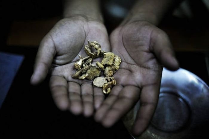 Gold Rush in Peru 