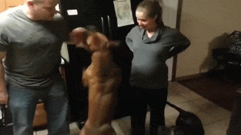 Daily GIFs Mix, part 665