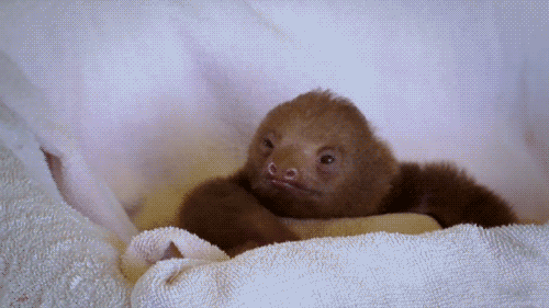 Daily GIFs Mix, part 665