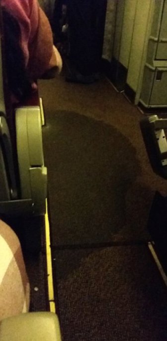Plane Gets Flooded With Urine After The Toilets Overflow
