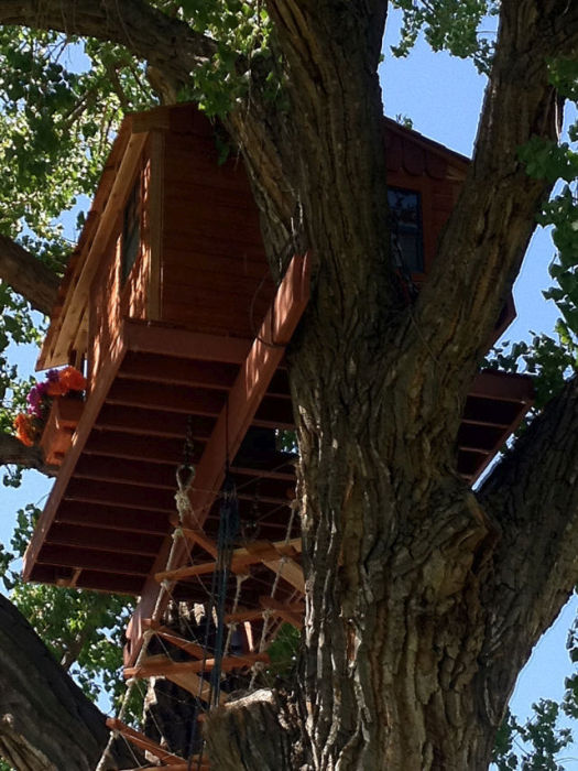 His Daughter Wanted A Tree House So He Went All Out