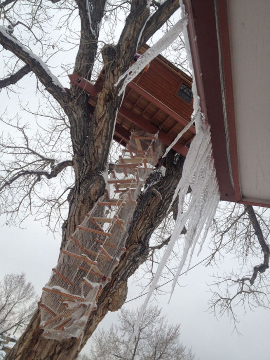 His Daughter Wanted A Tree House So He Went All Out