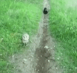 Daily GIFs Mix, part 667