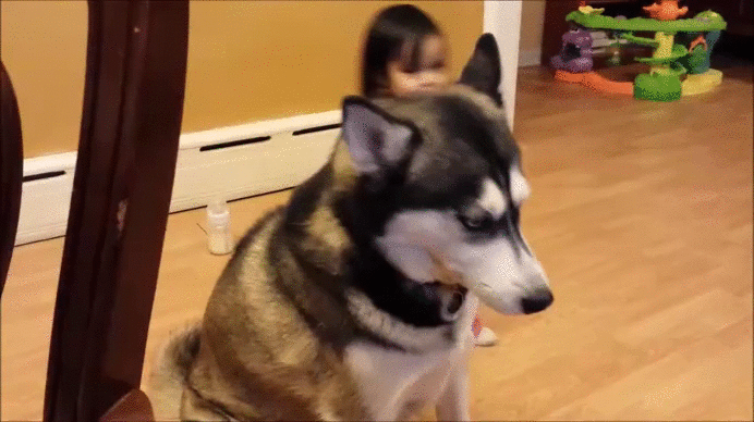 Daily GIFs Mix, part 668