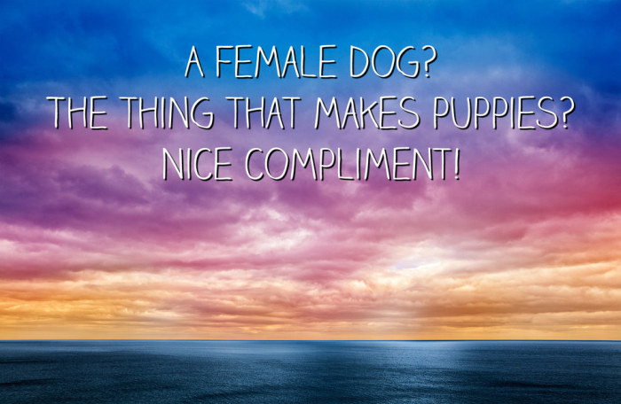 If Unbreakable Kimmy Schmidt Quotes Were Motivational Posters