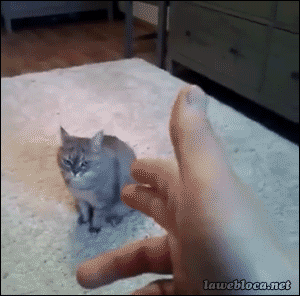 Daily GIFs Mix, part 671