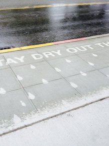 Seattle Artist Creates Street Art That Can Only Be Seen When It's Wet