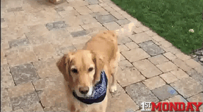 Daily GIFs Mix, part 673