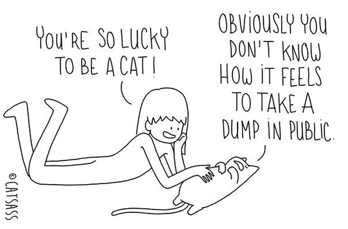 What Your Cat Is Really Trying To Tell You