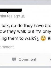 Some People Are Just Too Stupid To Be Using Facebook