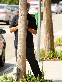 Dustin Hoffman Plays Hide And Seek On The Streets Of LA