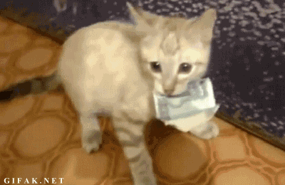 Daily GIFs Mix, part 674
