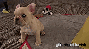 Daily GIFs Mix, part 679