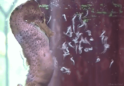 12 GIFs That Feature Freaky Displays Of Nature