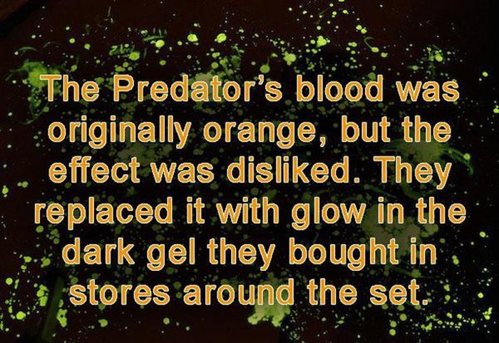 Fun And Interesting Facts About The Movie Predator