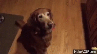 Daily GIFs Mix, part 684
