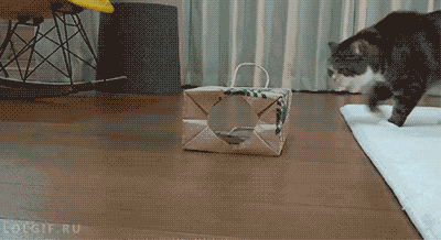 Daily GIFs Mix, part 689