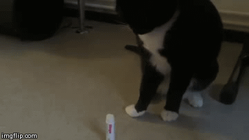 Daily GIFs Mix, part 689