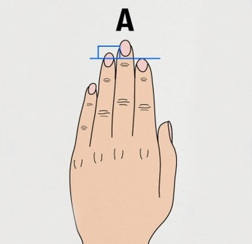 This Is What Your Finger Length Can Reveal About Your Personality