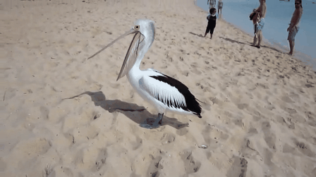 Daily GIFs Mix, part 690