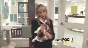 These GIFs Captured The Most Hilarious News Moments Ever