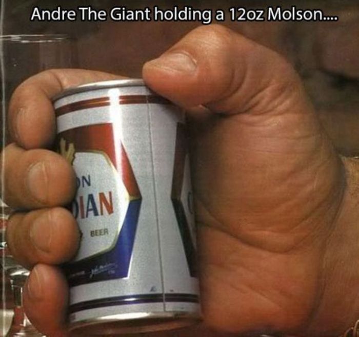 An Awesome Tribute To The Legendary Andre The Giant