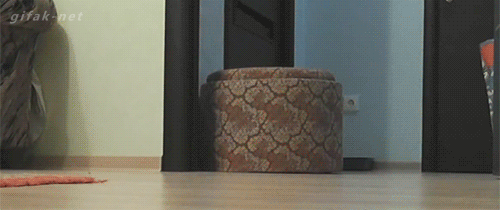Daily GIFs Mix, part 693