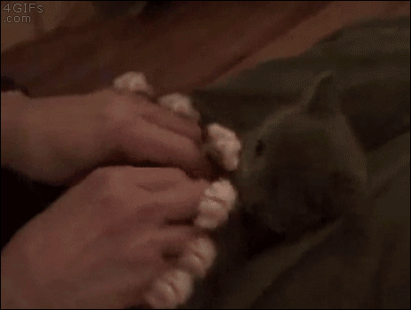 Daily GIFs Mix, part 693