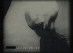 Are These Pictures Of Aliens Real Or Fake?