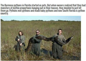 This Is A Good Reason To Stay Out Of Florida