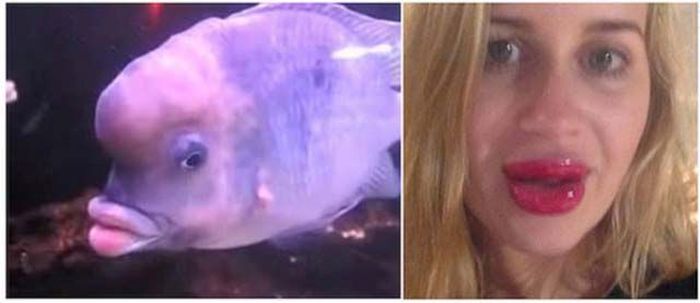 The Kylie Jenner Lip Challenge Continues To Give Girls Fish Lips