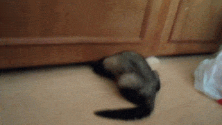 Daily GIFs Mix, part 697