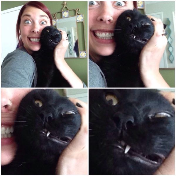 26 Moments Only Cat Owners Can Relate To