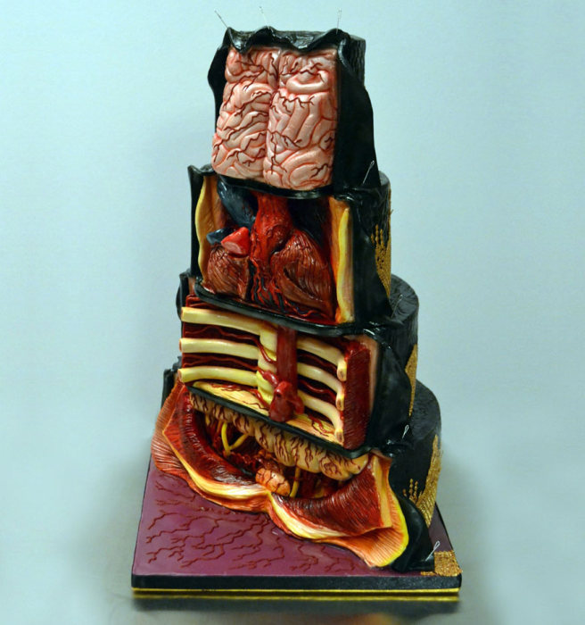 This Realistic Cake Art By Annabel de Vetten Is Creepy And Awesome