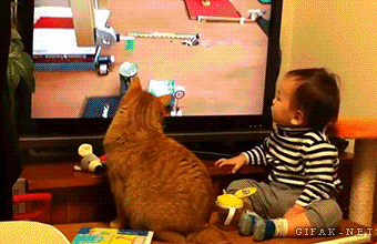 Daily GIFs Mix, part 706