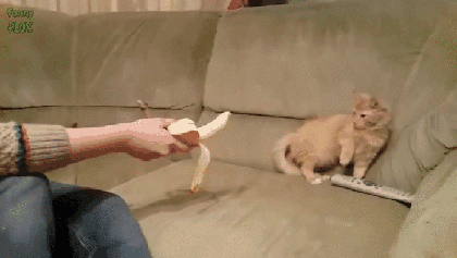 Daily GIFs Mix, part 707