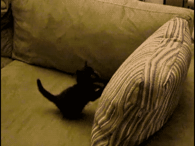 Daily GIFs Mix, part 707