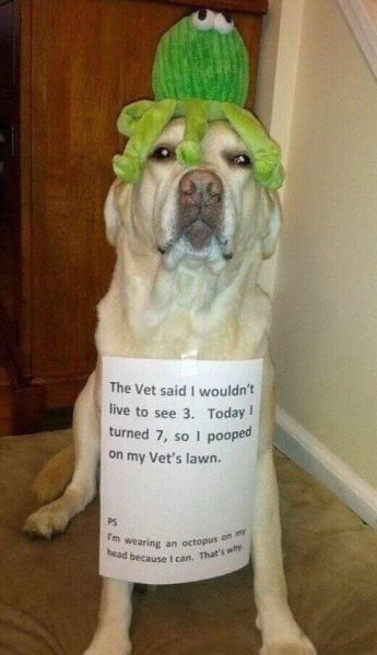 24 Pictures That Will Melt Your Heart