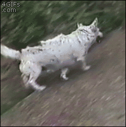 Daily GIFs Mix, part 711