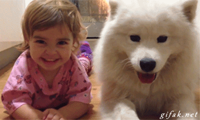 Daily GIFs Mix, part 711