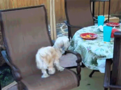 Daily GIFs Mix, part 712