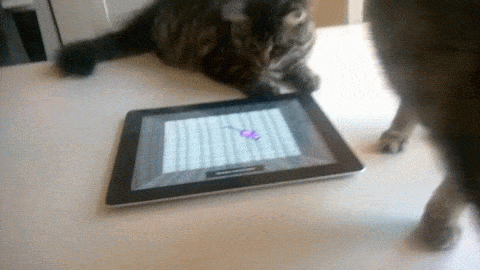 Daily GIFs Mix, part 714