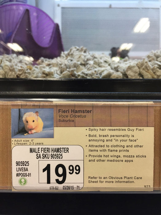 Local Pet Store Gets Hilarious New Labels With New Pet Names