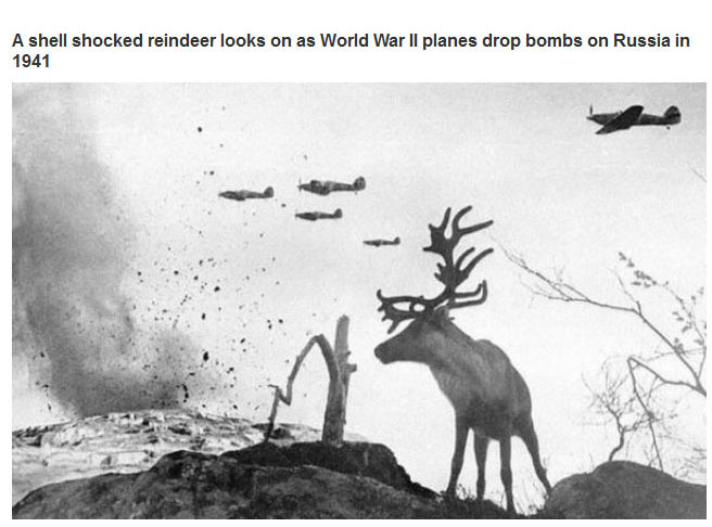 Photos That Captured Amazing Moments In History